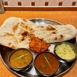 マザーインディア - ６種類のカレーから選べるスペシャルターリー