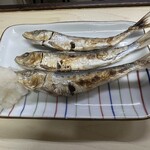 小島屋 - これ以上でもこれ以下でもいけない、絶妙なサイズの一夜干しめざし