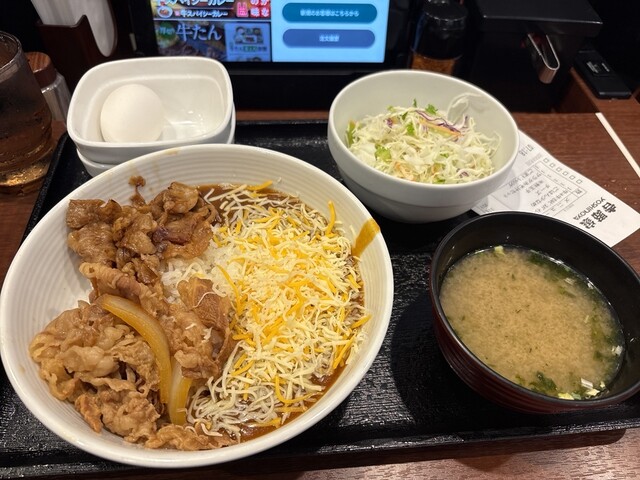 Yoshinoya Sakurabashi Ten - Kitashinchi/Gyu-don (Beef bowl