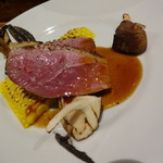 ドノスティア - 鴨