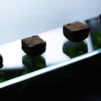 マールショコラ