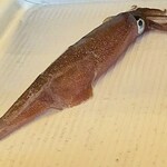 四季海鮮 旬花 - 四季海鮮 旬花 -