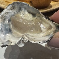 Seafood bar Ermitage 横浜鶴屋町店 - 