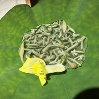 馳走 啐啄一十  - 
