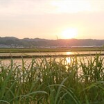 やまとや - のほほ~~~ん♡癒された一日でした