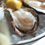 新宿オイスターバー ワーフ - 