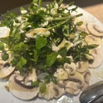 ヴィノシティ マジス - 