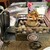 ベンガルタイガー - 料理写真: