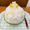 ベイサイドかき氷カフェ ミックス ミサキのシロクマ
