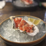 シャイニーアウル - 