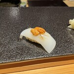 広島 鮨 銀座芝濱 - アオリイカ　ウニ