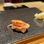 広島 鮨 銀座芝濱 - 赤貝