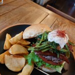 パントリー コヨーテ - 