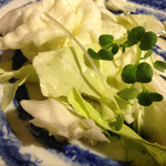 鳥鶏研究団 - キャベツ