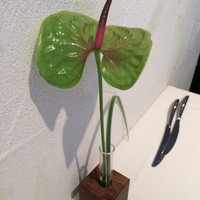 カンブーザ - 