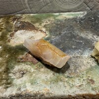 寿司 藤やま - 