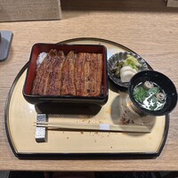 うなぎ 目白ぞろ芽 - 