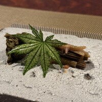 飛騨季節料理 肴 - 