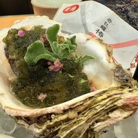 鮨 輝泉 - 