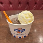 ブルーシール - 