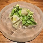 トムクリオーザ - 