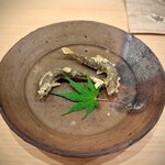 川田 - 2025.5.  稚鮎