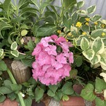 エム・ドゥエル - 