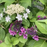 エム・ドゥエル - 