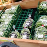 JAマインズ 狛江支店 - 