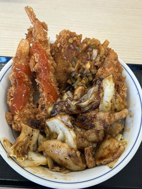 Katsuya Aichi Nisshin Ten photo 4