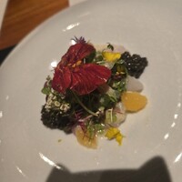 WINE食堂 緒乃 - 