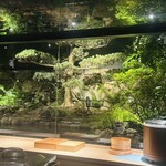 鮨shizuku 西天満 - 