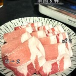 しゃぶしゃぶ すき焼き 食べ放題 和牛と豚 三条河原町店 - 