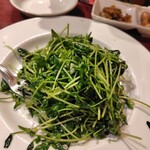 陳家私菜 渋谷店 - 