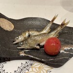 すし玲 - 稚鮎。