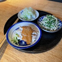 雪梅花 菜根譚 - 