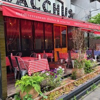 表参道 バッカス - 