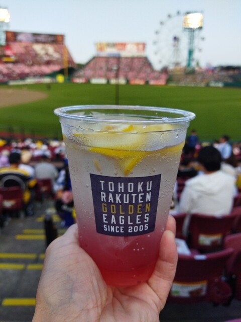 46食堂 - 宮城野原（牛丼）の写真
