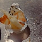 インドラディップ - ガムシロップ容器を掃除