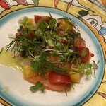 ソロ ノイ スルヌジェ - 