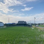 アルムスタファーマスジド - 田んぼとマスジド