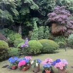 鎌倉すき焼きしゃぶしゃぶレストラン Sasho - 