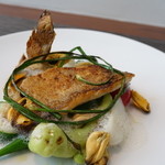 TeF - 魚のフリット