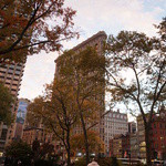 Eleven Madison Park - 