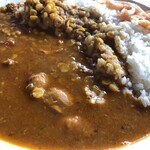 インド料理 SALAAR - チキンとレンズ豆のMIXカレー
