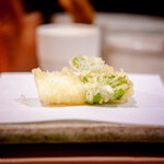 天白 - ⑥アオリイカ