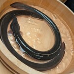 うなぎと炭焼 久松 - 