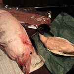 のむくらう Ｇａｚｚａｔ - 今日のジビエ。青首、蝦夷鹿、うり坊