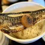 さばめしの鯖匠 - このビジュアル、素敵でしょう