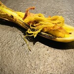 RISTORANTE IL NODO - VERDURA